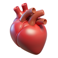 Soutien la santé cardiaque